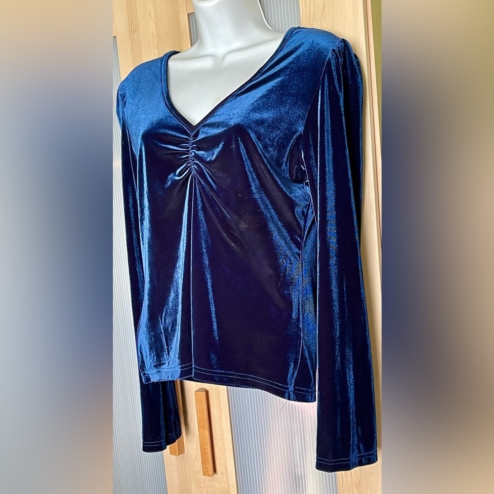 NWT❣️ Velvet V Neck Long Sleeve Top M - Picture 4 of 6